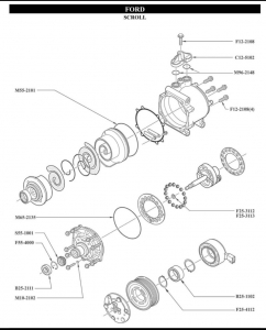   FORD Skroll