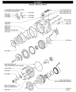   Sanden TRSA09