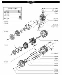   Calsonic CSV613